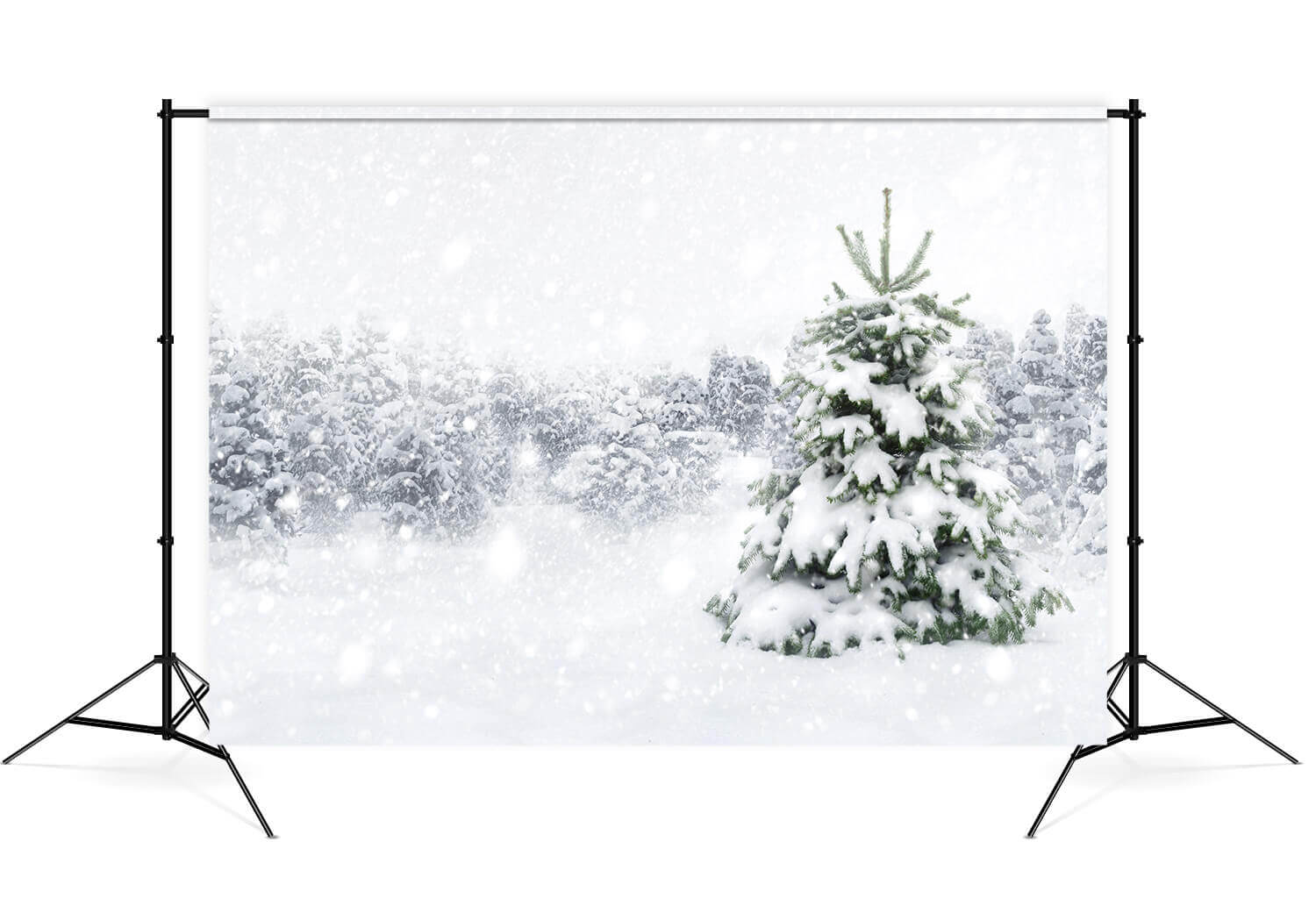 Sfondo Fotografico Per Foresta Invernale Con Alberi Di Neve M7-23