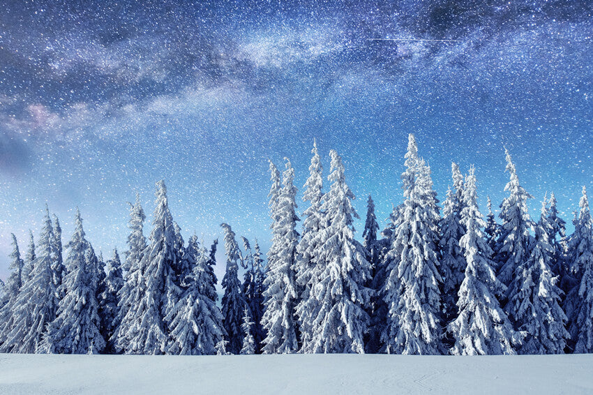 Sfondo Invernale Con Cielo Stellato E Foresta Di Alberi Innevati M7-24