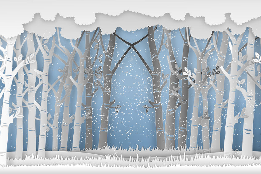 Foresta Invernale Innevata Alberi Ad Alto Fusto Prati Sfondo M7-25