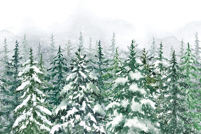Sfondo Di Paesaggi Di Neve Foresta Di Pini Invernali M7-43