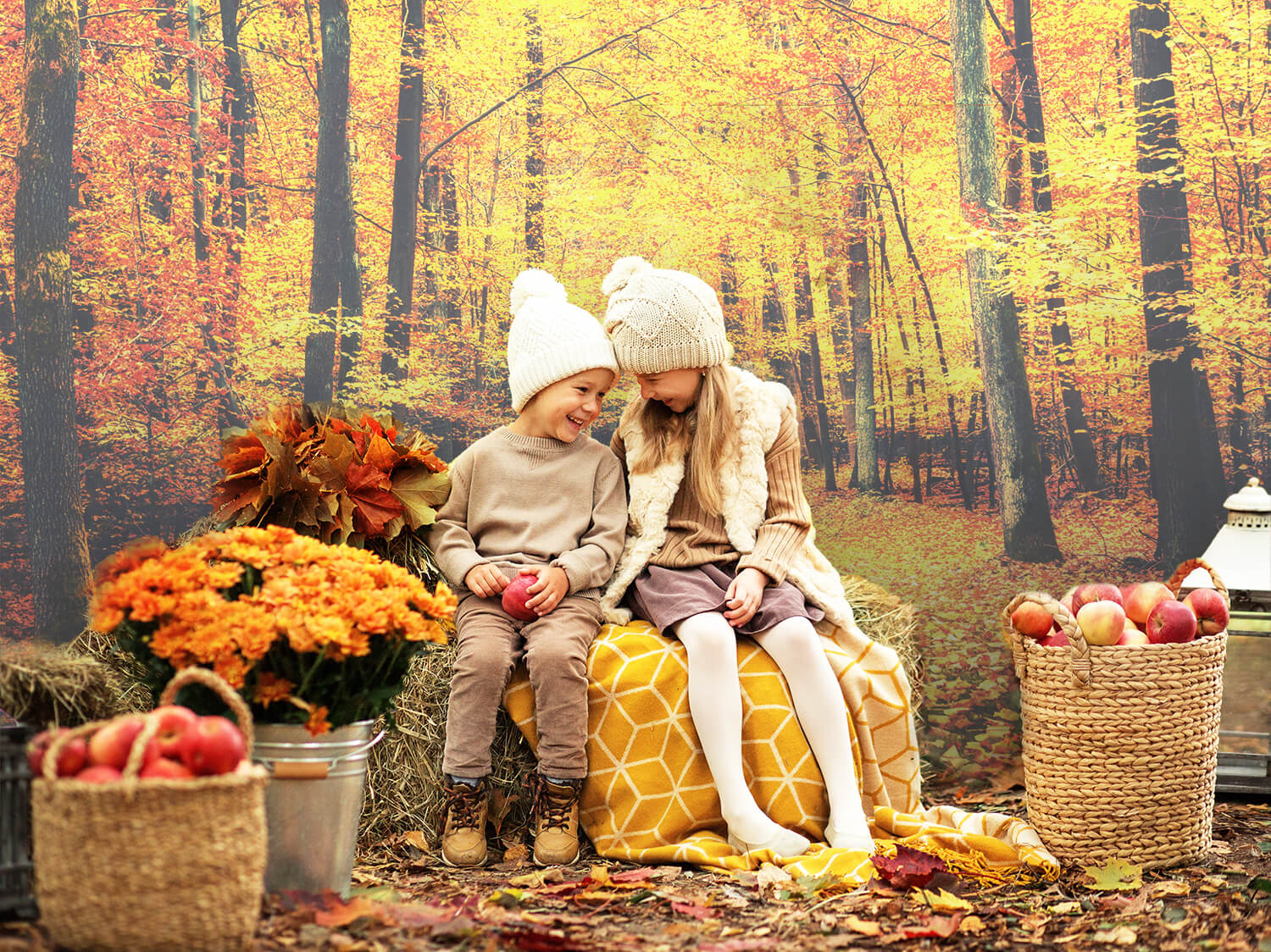 Sfondo Di Paesaggi Di Foglie D'Acero Della Foresta Autunnale M7-86