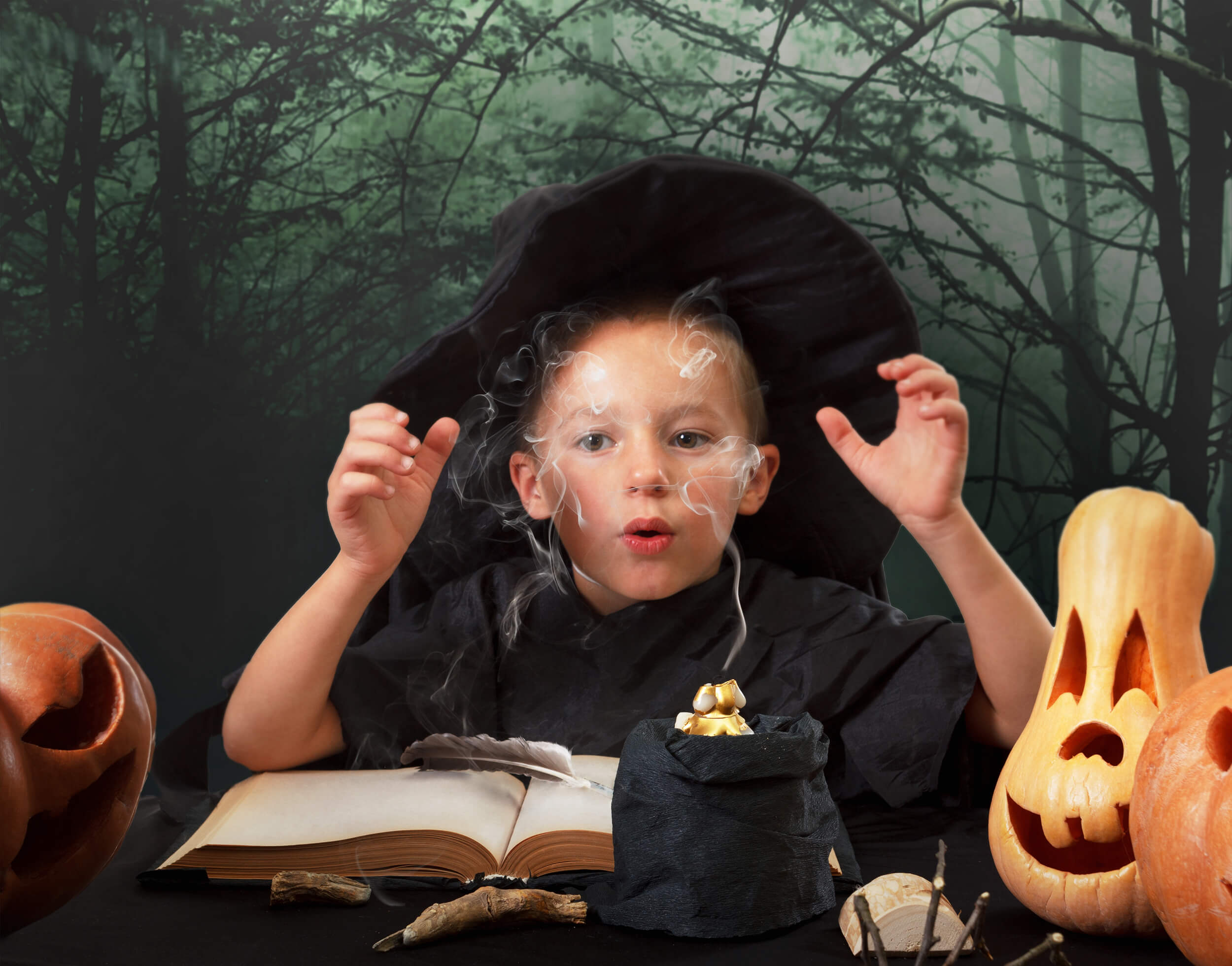 Sfondo Di Halloween Del Sentiero Nebbioso Della Foresta Misteriosa M8-09