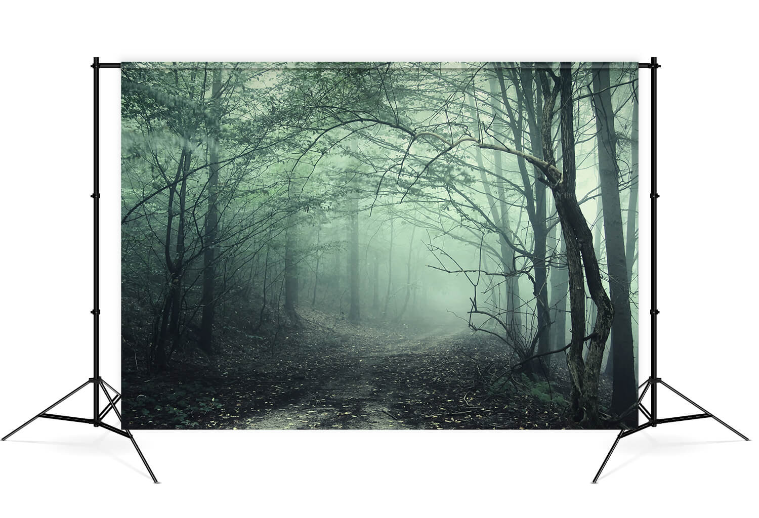 Sfondo Di Halloween Del Sentiero Nebbioso Della Foresta Misteriosa M8-09