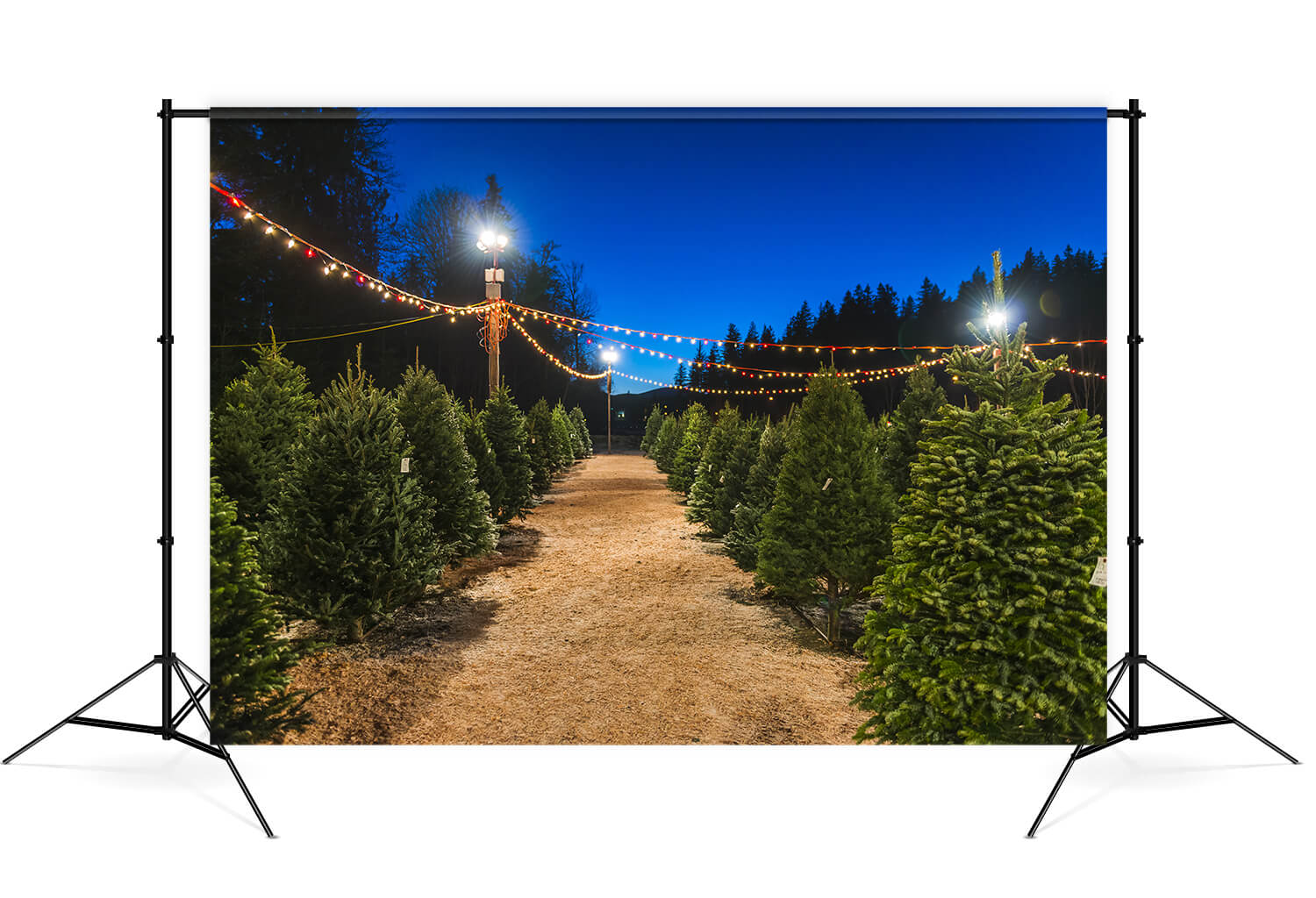 Sfondo Fotografico Notturno Per La Fattoria Dell'Albero Di Natale M8-21