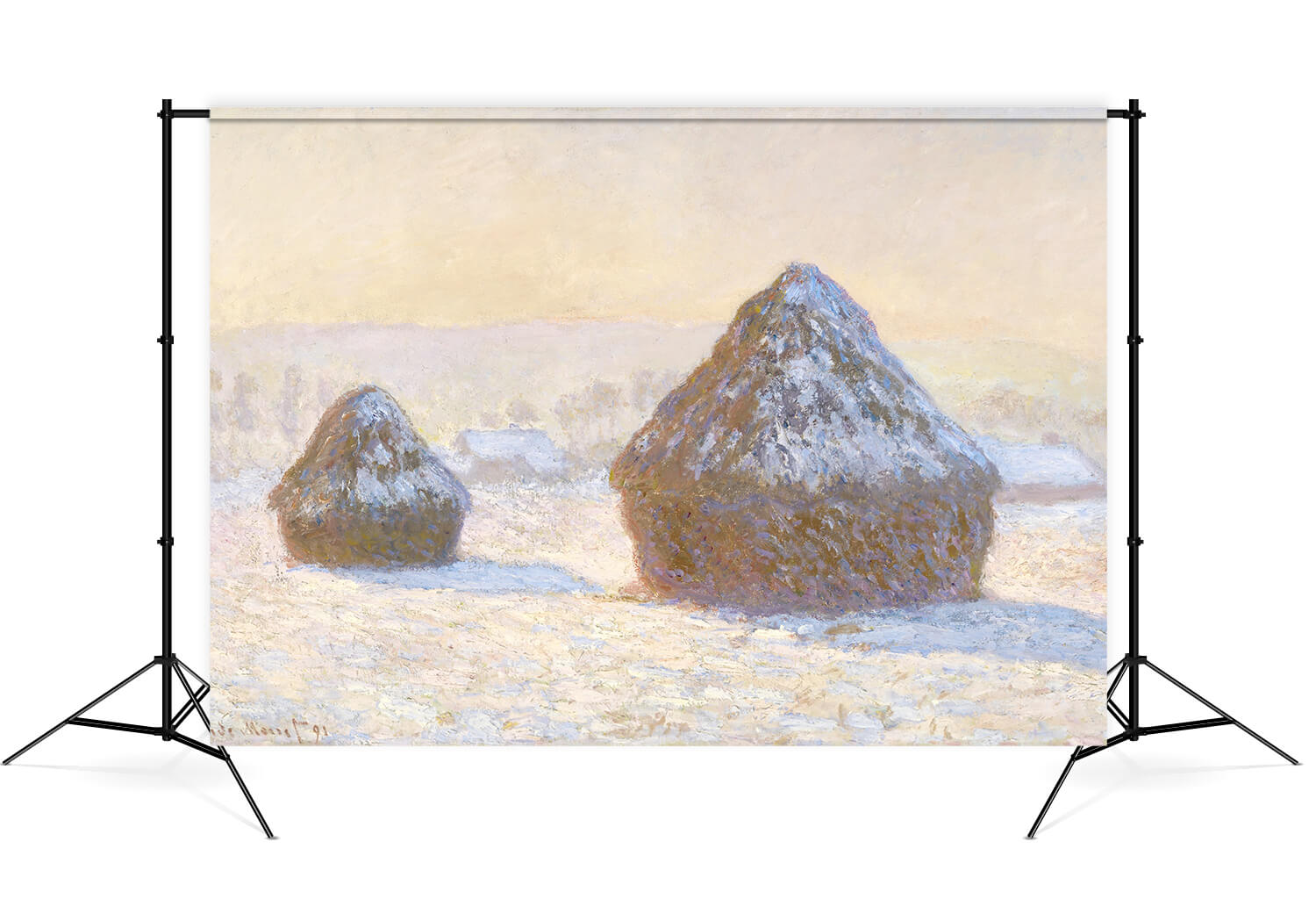Sfondo Fotografico Invernale Con Mucchi Di Grano E Neve M8-22