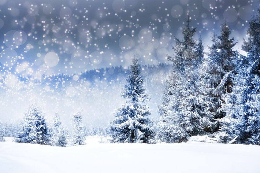 Sfondo Di Paesaggio Di Alberi Della Foresta Invernale Innevata M8-25