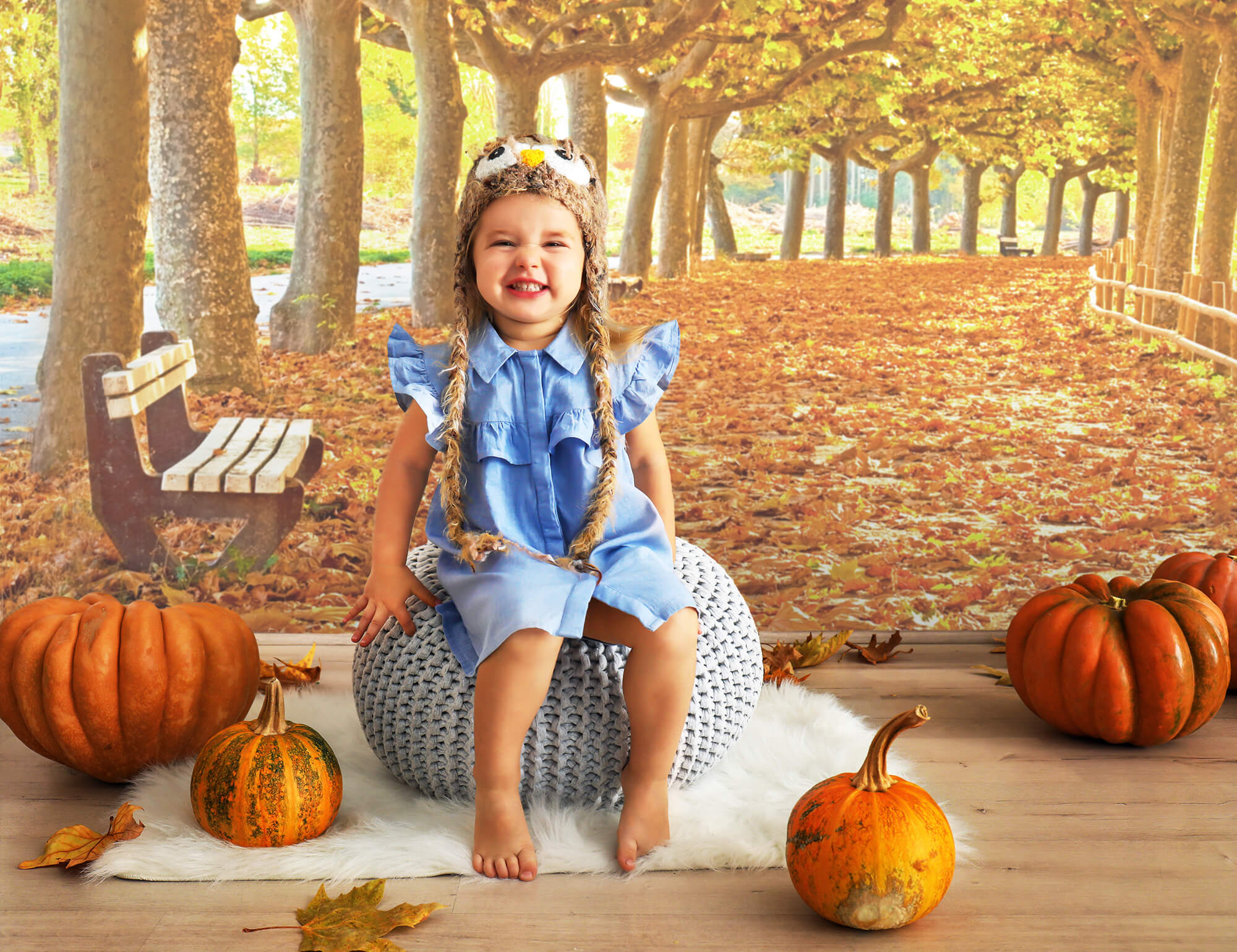 Sfondo Fotografico Con Percorso Di Foglie D'Acero Autunnali M8-29