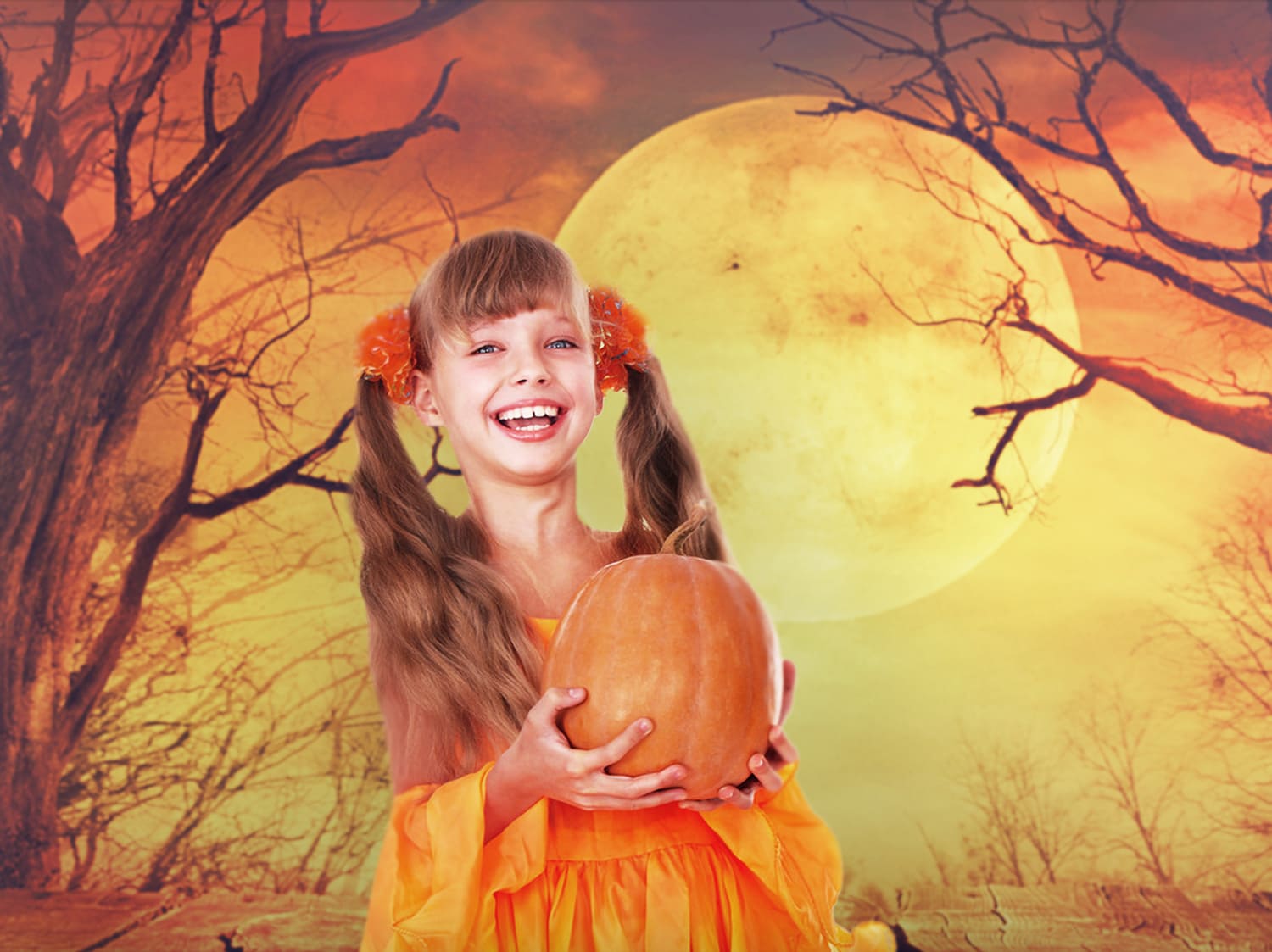 Sfondo Di Paesaggi Spaventosi Di Halloween Brown Moon M8-47