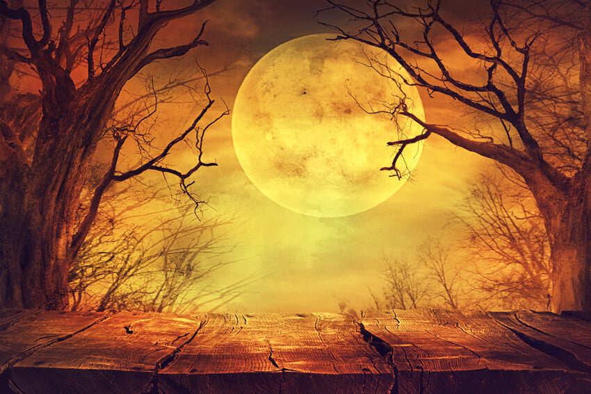 Sfondo Di Paesaggi Spaventosi Di Halloween Brown Moon M8-47