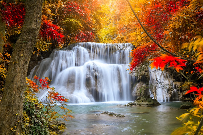 Sfondo Di Paesaggio Autunnale Cascata Di Foglie D'Acero M8-52