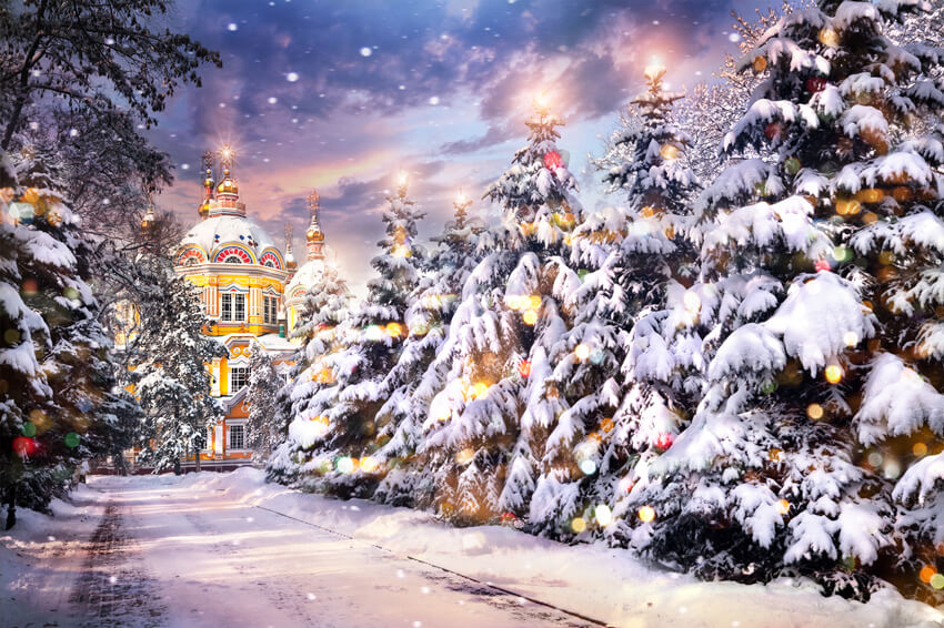 Sfondo Fotografico Winter Castle Snowy Road M9-12