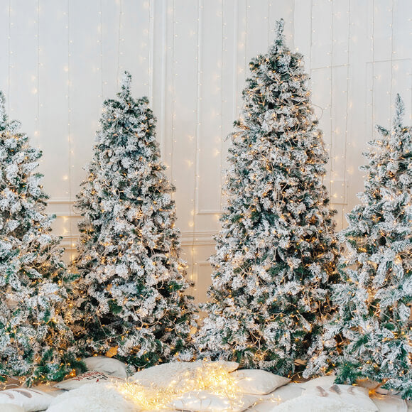 Sfondo Luminoso Per Cabina Fotografica Con Albero Di Natale M9-16