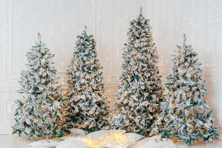 Sfondo Luminoso Per Cabina Fotografica Con Albero Di Natale M9-16
