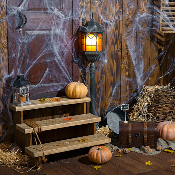Sfondo Di Halloween Della Ragnatela Della Vecchia Stanza In Legno M9-34