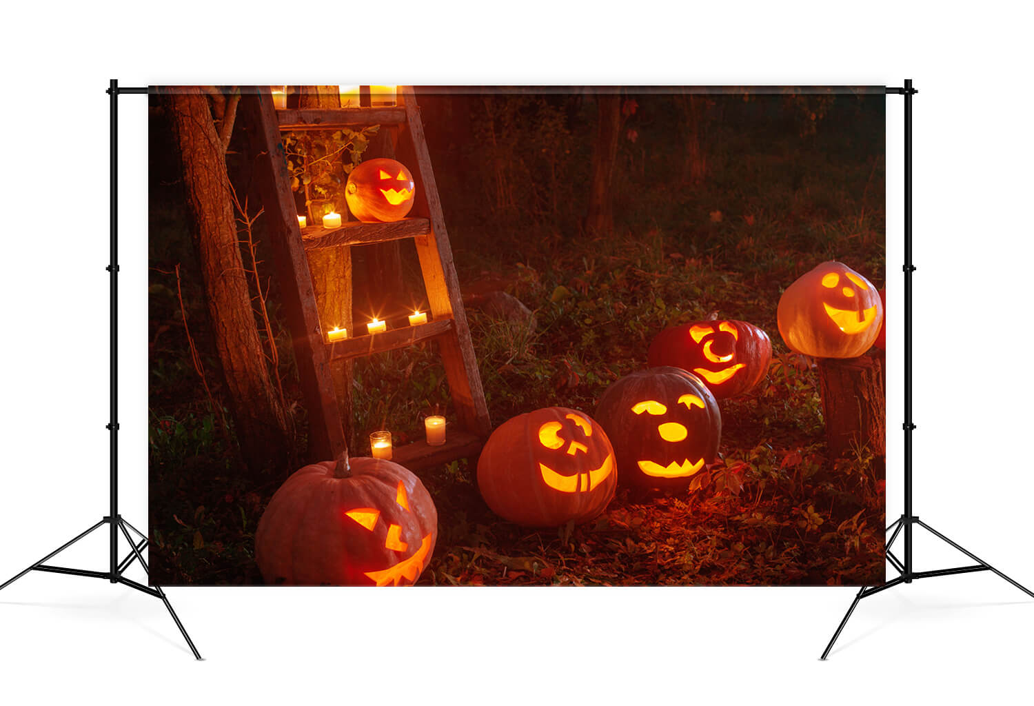 Sfondo Fantasma Di Zucca Foresta Horror Di Halloween M9-46
