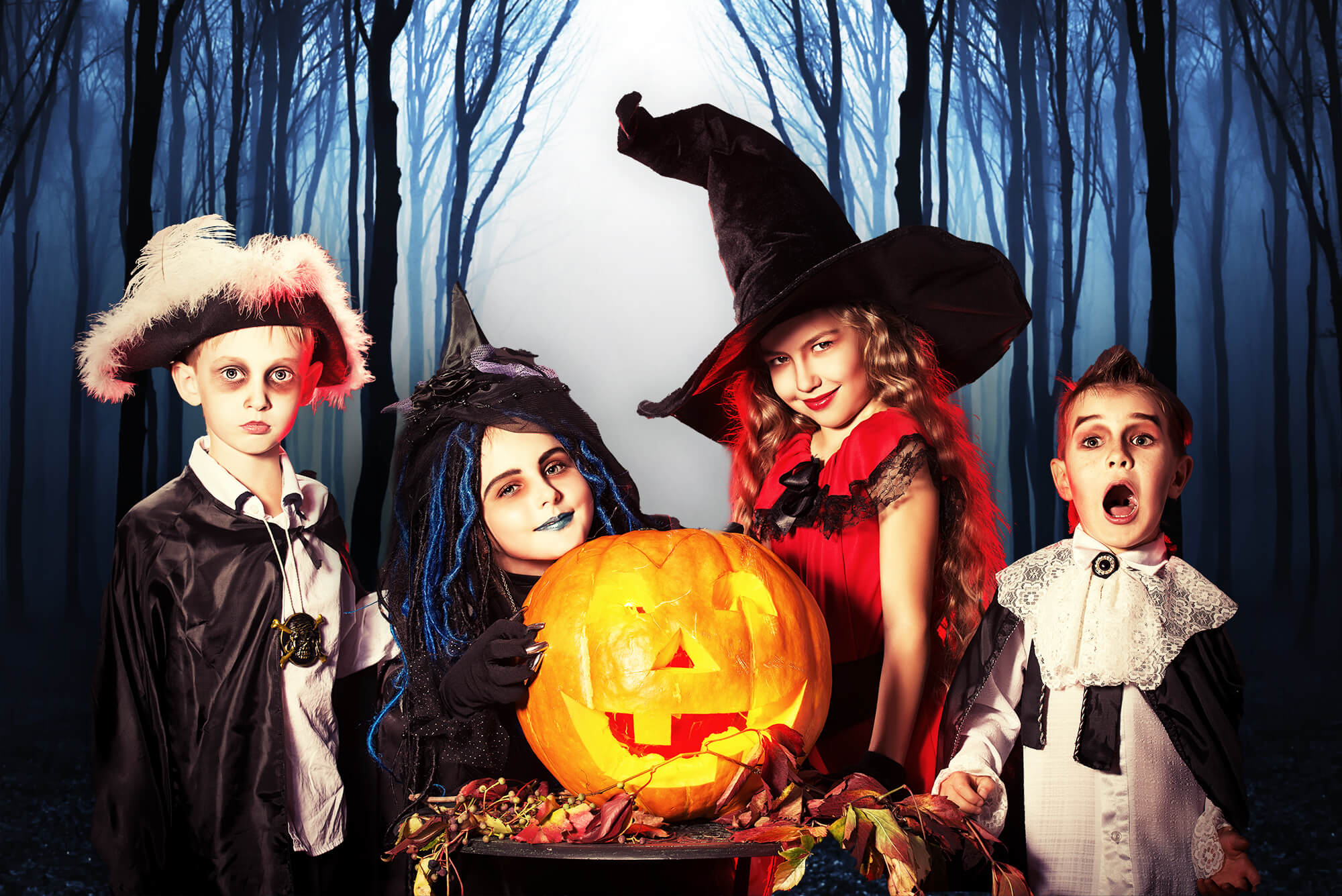 Sfondo Di Halloween Della Misteriosa Foresta Nebbiosa M9-56