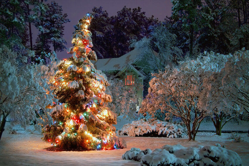 Sfondo Della Foresta Innevata Dell'Albero Scintillante Di Natale M9-75