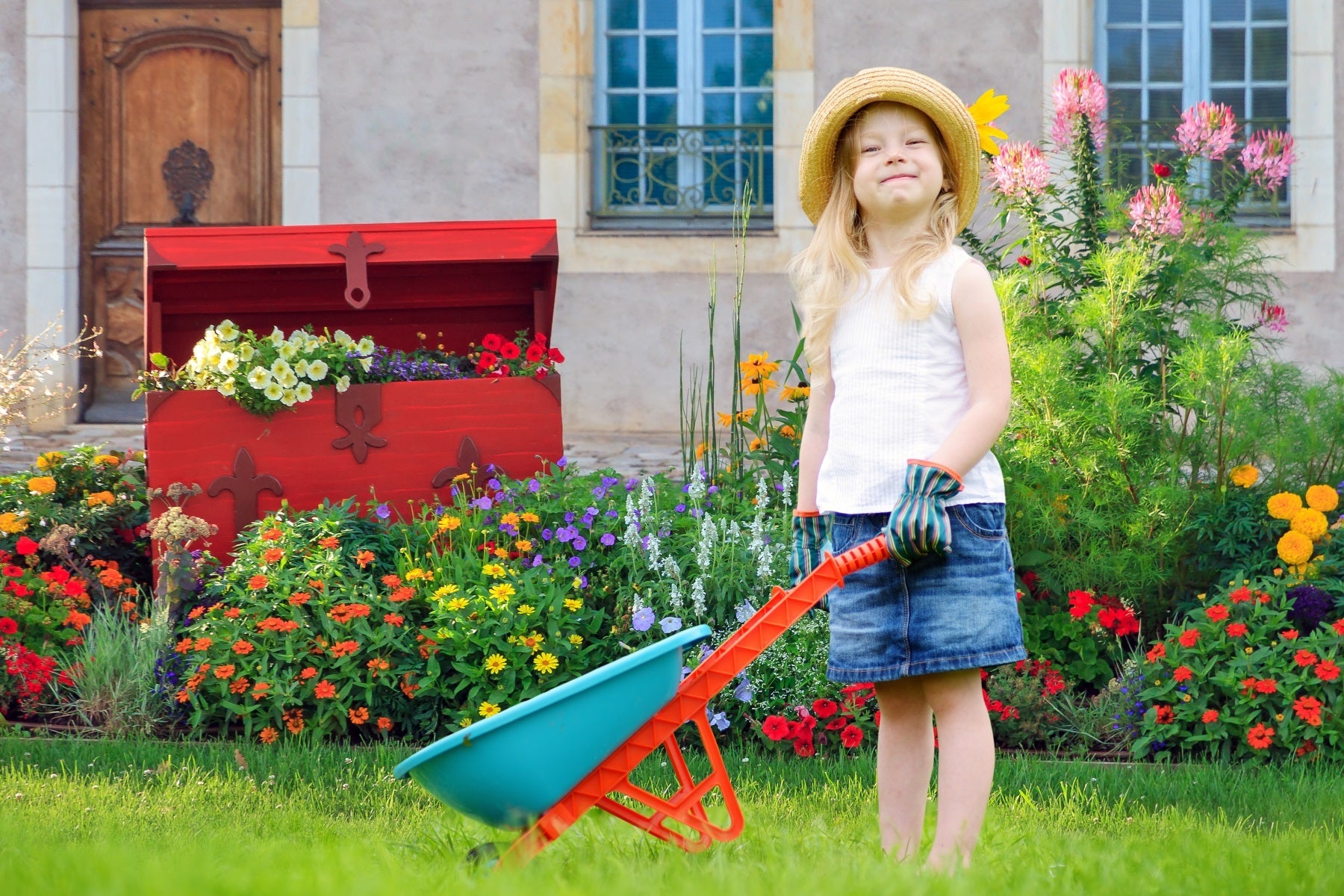 Sfondo Di Torace In Legno Di Sequoia Con Prato Fiorito Da Giardino Primaverile RR3-17