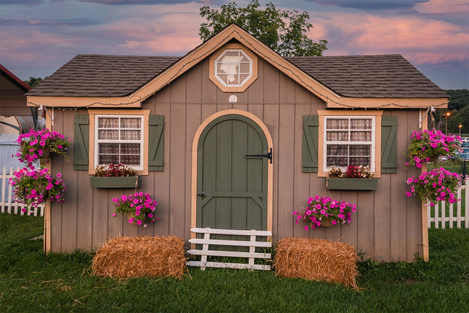 Dbackdrop Petunia Nello Sfondo Del Fienile Rustico Al Tramonto RR3-36