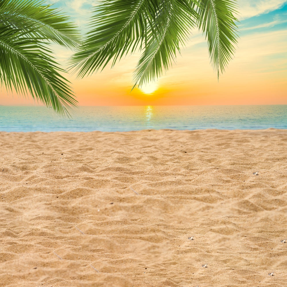 Dbackdrop Summer Seaside Beach Coconut Tree Sunset Fondale RR3-42