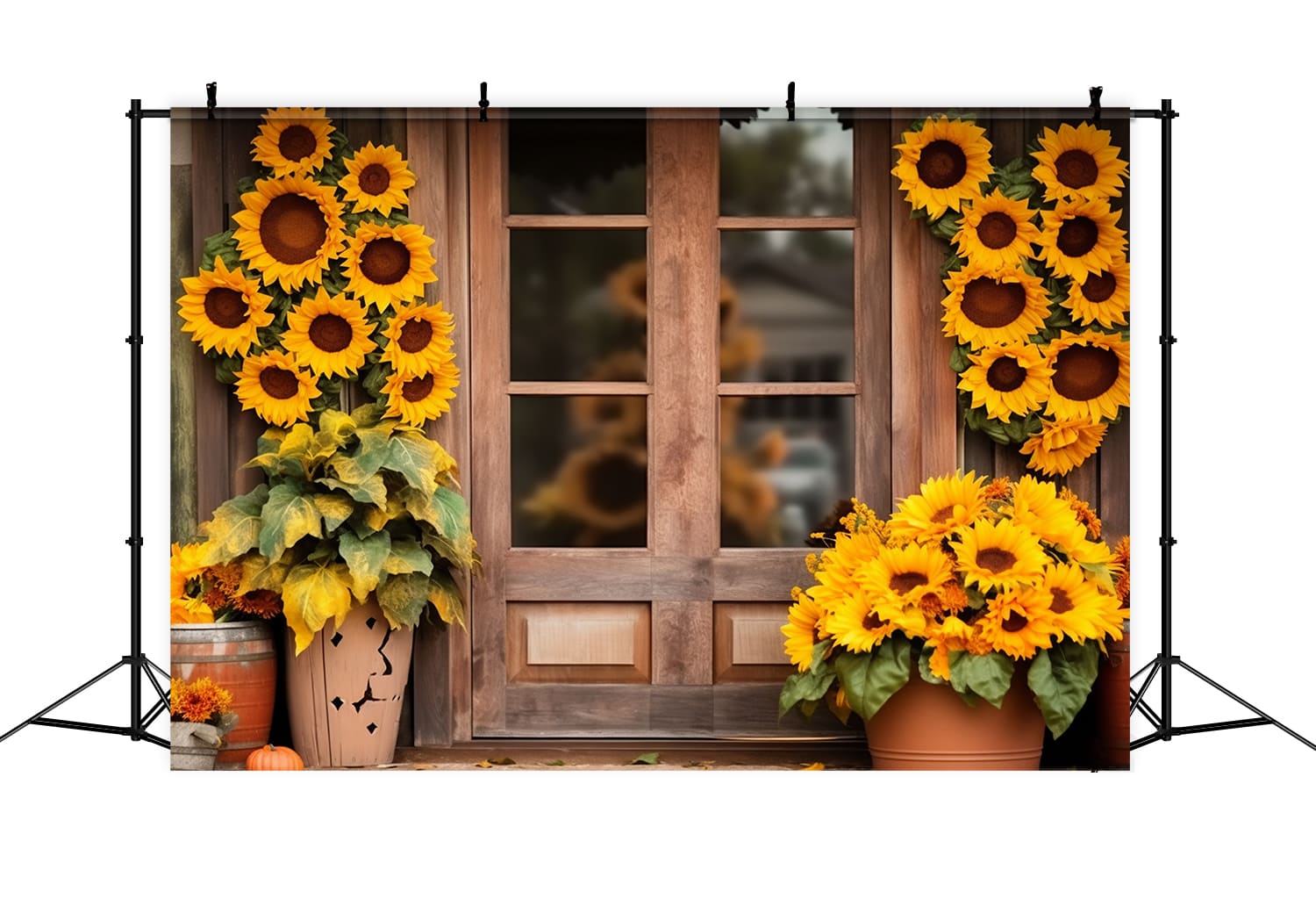 Girasoli Porta Del Fienile In Legno Sfondo Autunnale RR7-136