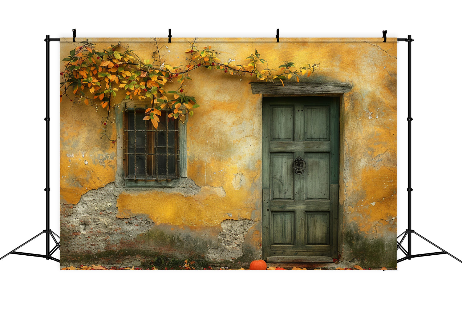 Porta In Legno Con Muro In Rovina Sfondo Autunnale RR7-147