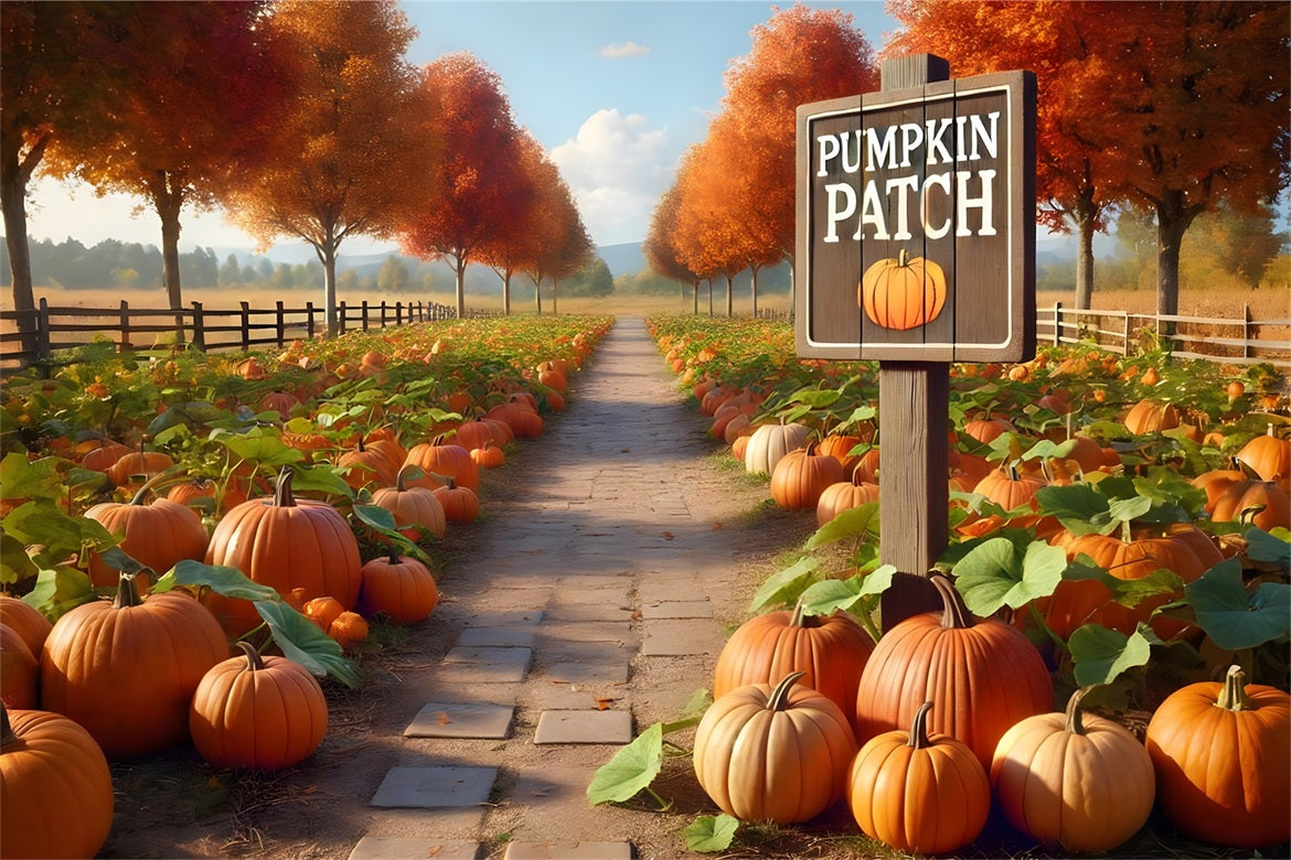 Sfondo Di Alberi Autunnali Del Percorso Della Zona Della Zucca RR7-282