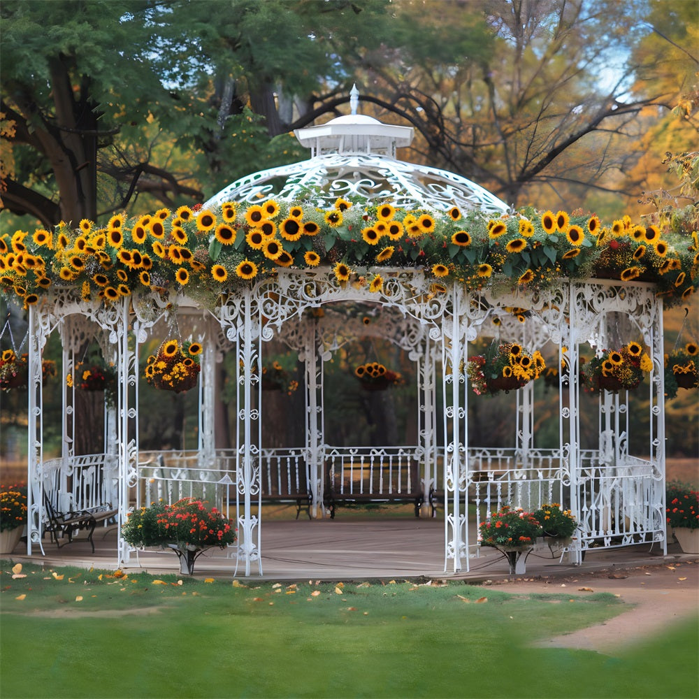 Sfondo Del Parco Autunnale Del Gazebo Decorato Con Girasoli RR7-294