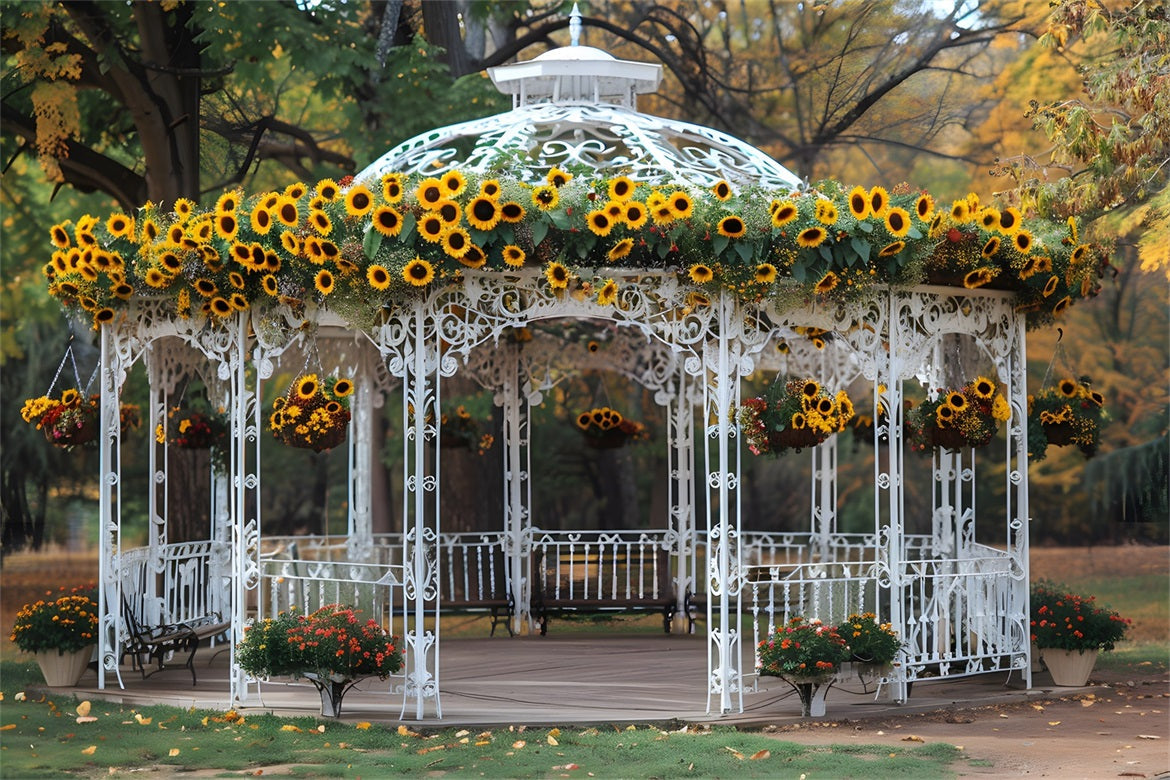 Sfondo Del Parco Autunnale Del Gazebo Decorato Con Girasoli RR7-294