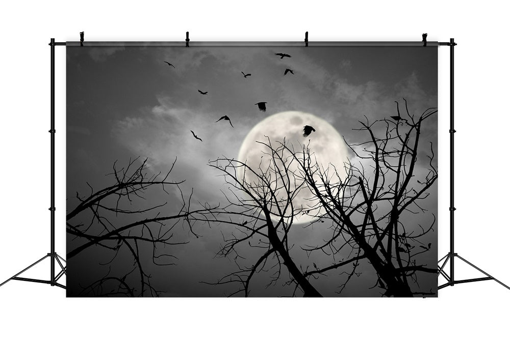 Sfondo Di Pipistrelli Lunari Cielo Scuro Notte Di Halloween RR7-487