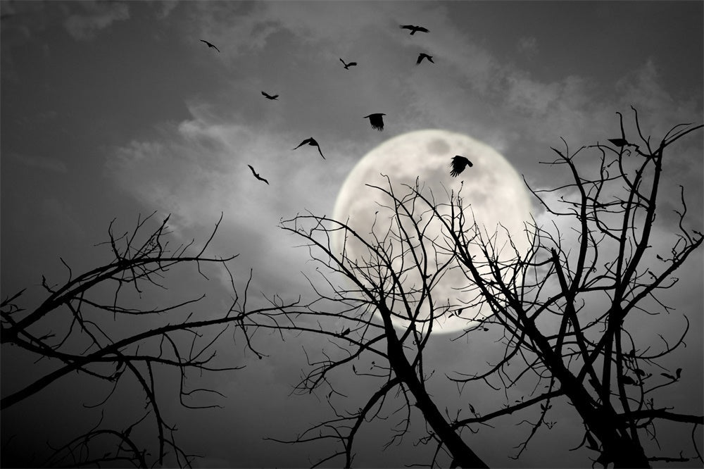 Sfondo Di Pipistrelli Lunari Cielo Scuro Notte Di Halloween RR7-487