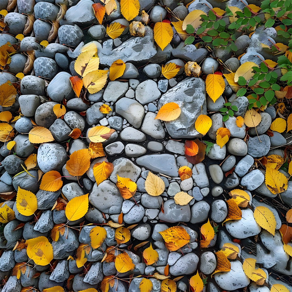 Fondale Per Pavimento In Tessuto Con Foglie A Goccia Lapidate RR7-525