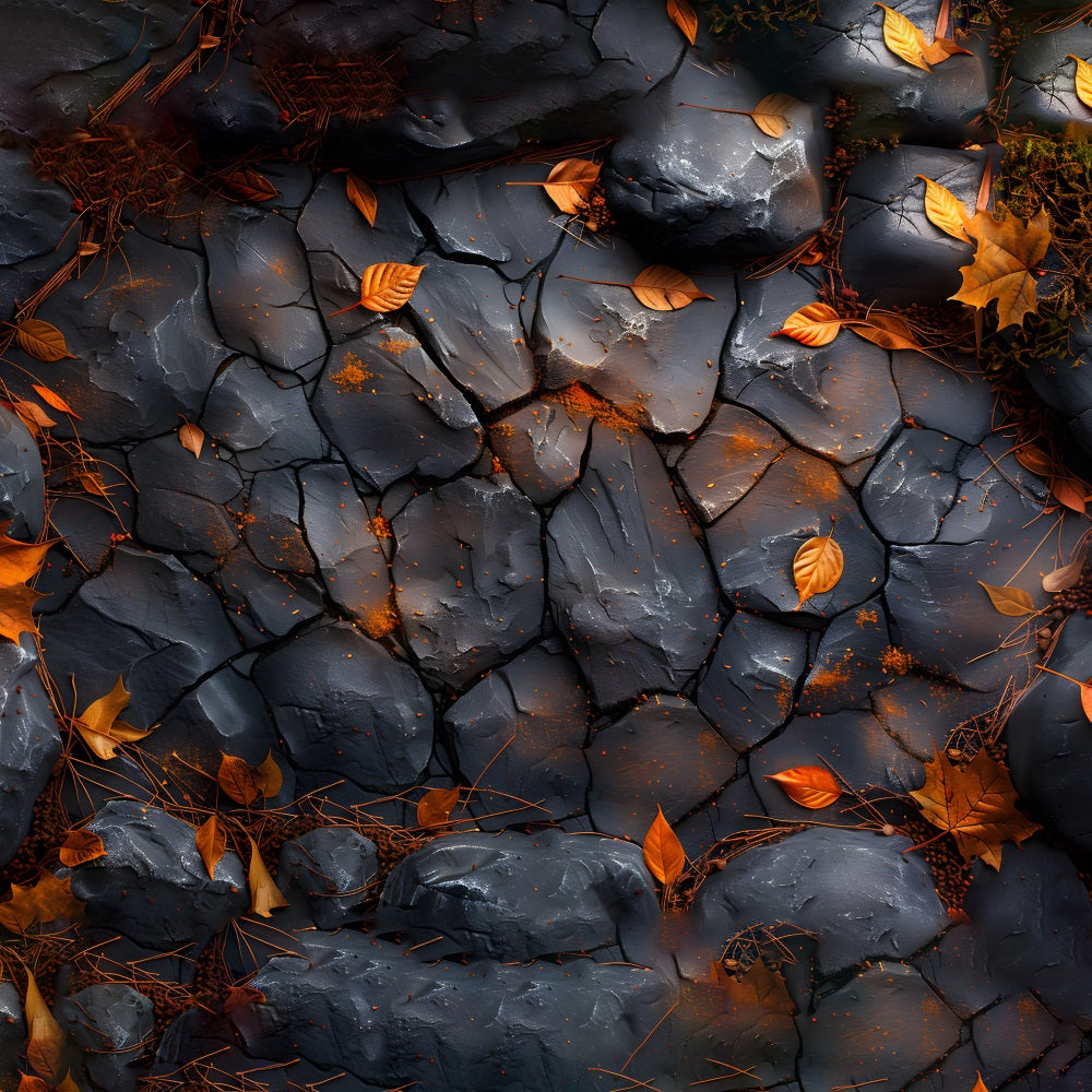 Fondale Per Pavimento Con Foglie Di Acero In Pietra Nera Lucida RR7-533