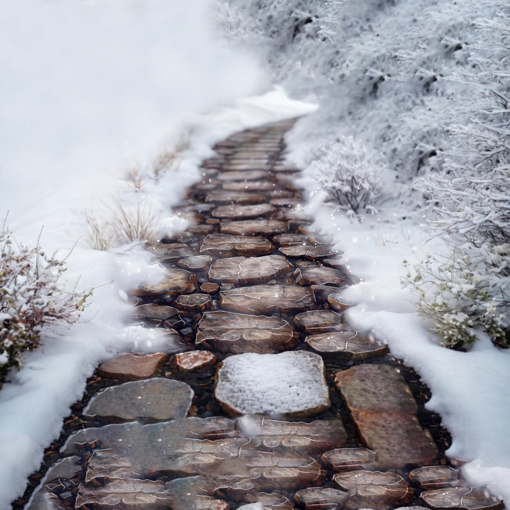 Sfondo Del Pavimento Del Sentiero Di Montagna Con Vegetazione Innevata RR7-547