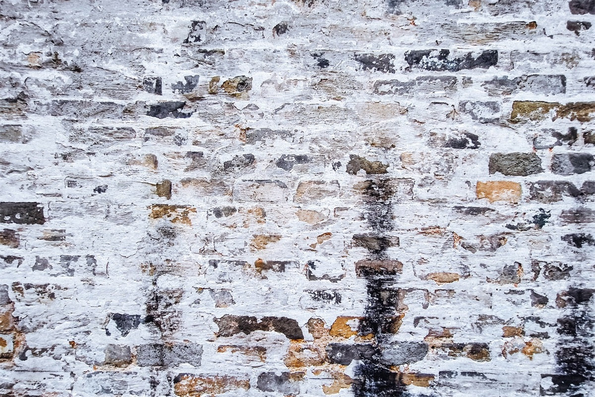 Sfondo Rustico Con Pavimento In Mattoni Stagionati RR7-551