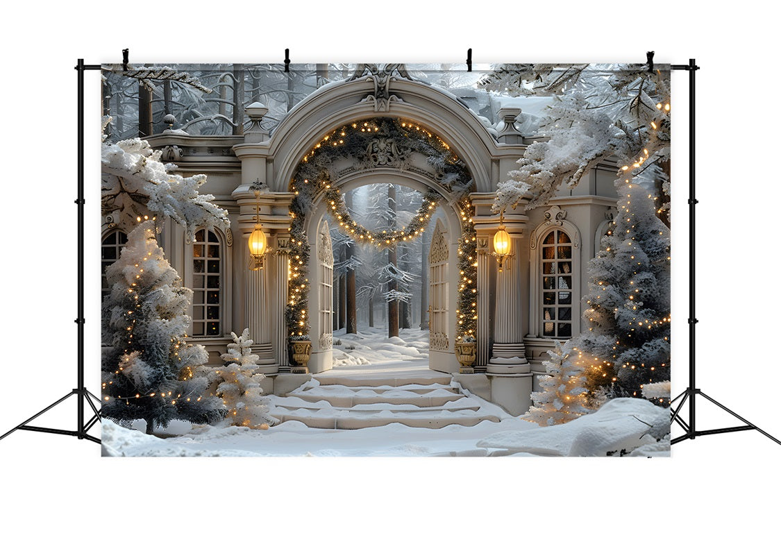 Sfondo Dell'Arco Di Natale Winter Wonderland RR7-593