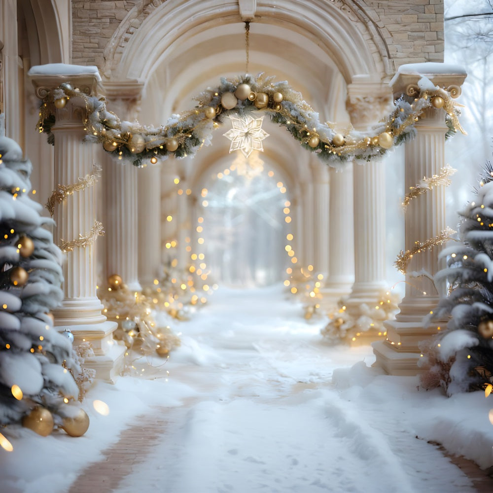 Sfondo Della Passerella Del Palazzo D'Inverno Di Natale RR7-612