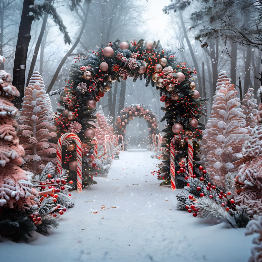 Sfondo Dell'Arco Con Ornamento Natalizio Candy Cane RR7-654