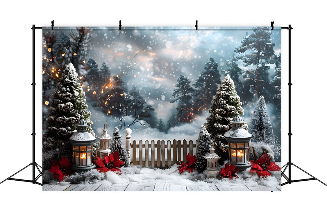 Lanterna Di Natale Illuminata Dal Sentiero Innevato Sullo Sfondo RR7-707