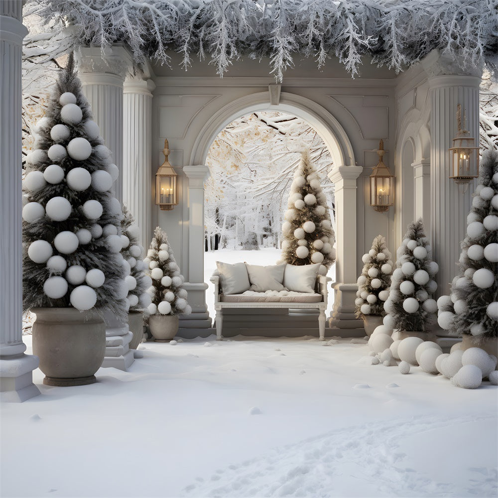 Sfondo Di Neve Con Porta Ad Arco Per Albero Di Natale RR7-733
