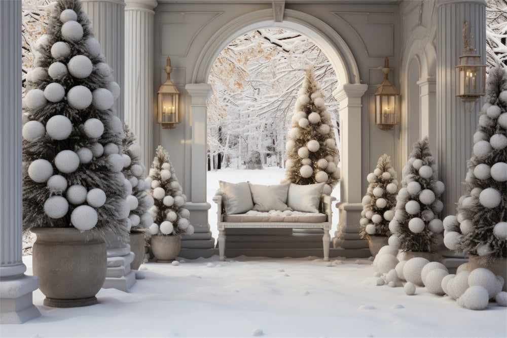 Sfondo Di Neve Con Porta Ad Arco Per Albero Di Natale RR7-733