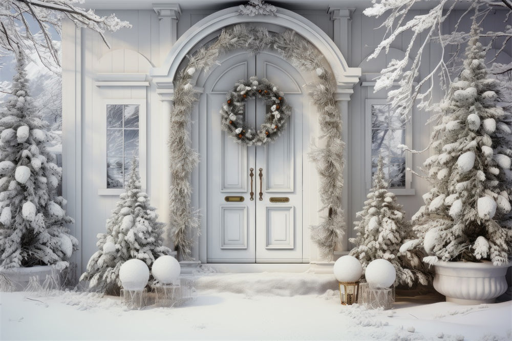 Sfondo Della Porta Della Casa Di Natale Con Alberi Innevati RR7-767