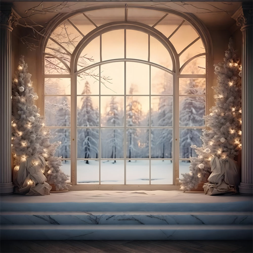 Sfondo Della Foresta Di Neve Della Finestra Dell'Albero Di Natale RR7-833