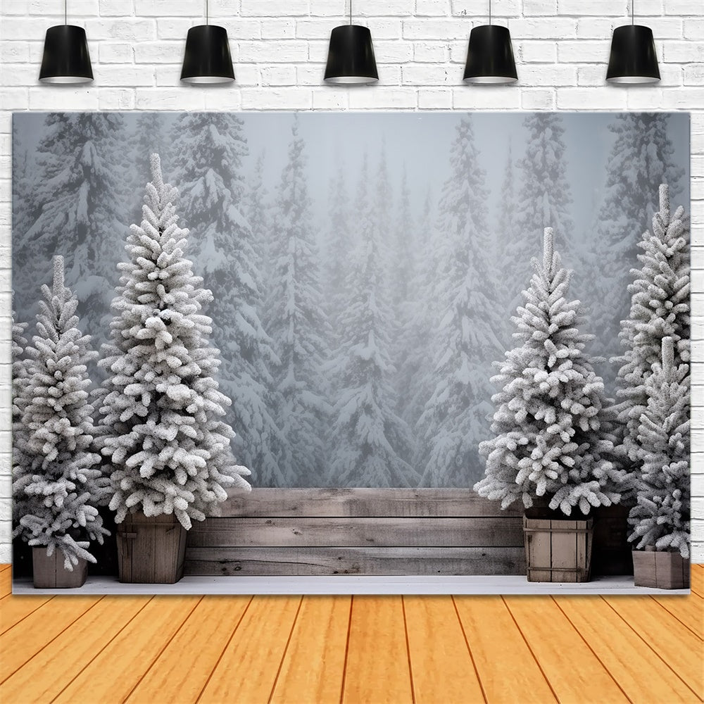 Sfondo Di Alberi Ghiacciati Della Foresta Innevata Di Natale RR8-247