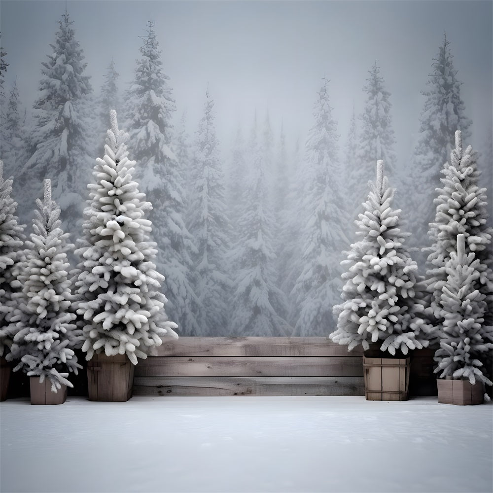 Sfondo Di Alberi Ghiacciati Della Foresta Innevata Di Natale RR8-247