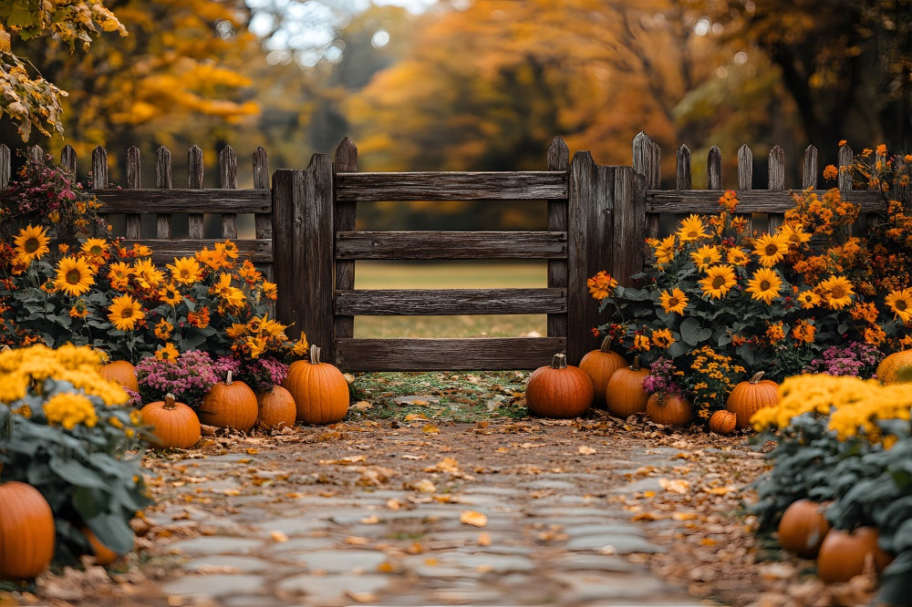 Cancello Rustico Autunnale E Sfondo Di Zucca RR8-309