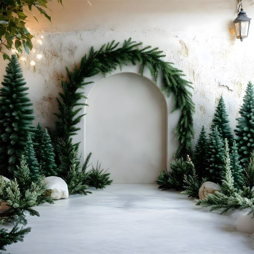Sfondo Fotografico Con Arco Di Albero Di Natale RR8-347