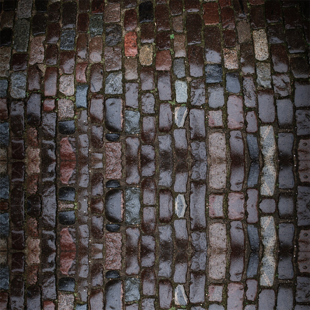 Fondale Per Pavimento In Tessuto Stradale In Mattoni Bagnati RR8-677