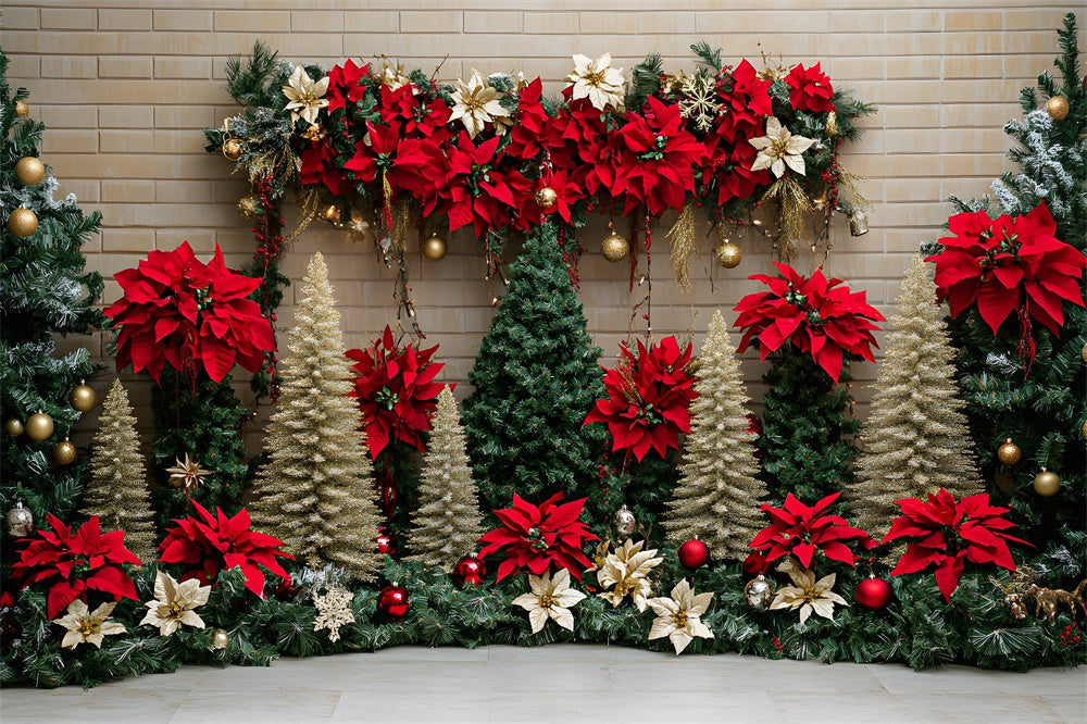 Sfondo Di Fiori Di Alberi Di Natale Poinsettia RR8-77