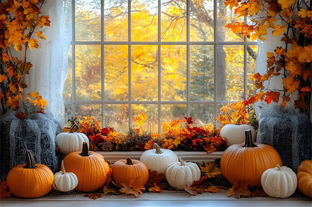 Finestra Degli Alberi Di Acero Autunnali Con Vista Sullo Sfondo Di Zucca RR9-27